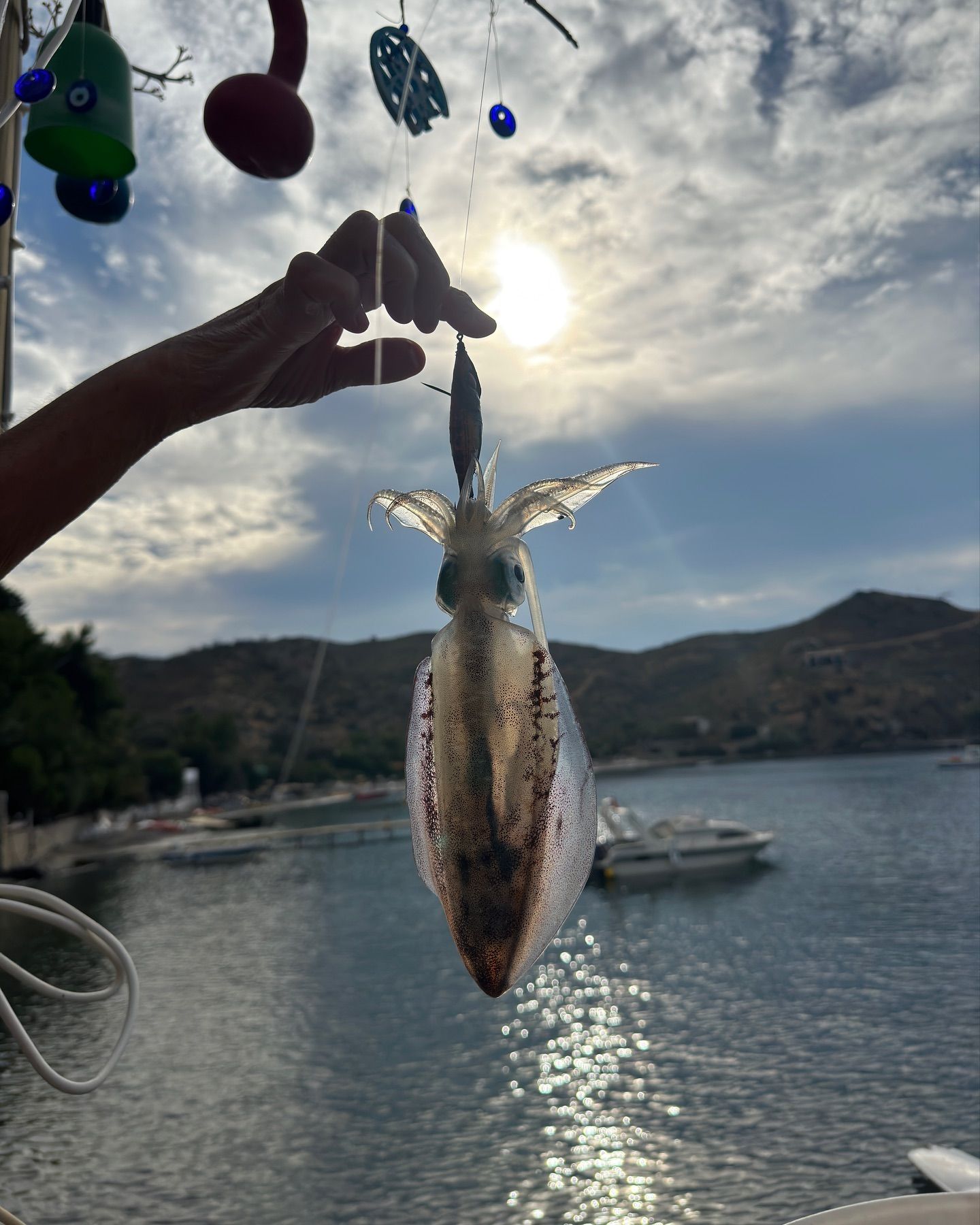 Catch of the day from the morning line